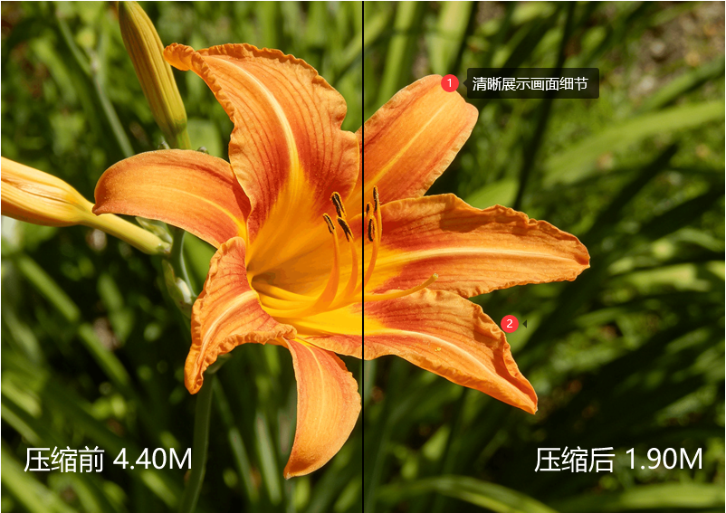 1787382934398254.png 摄影3.png